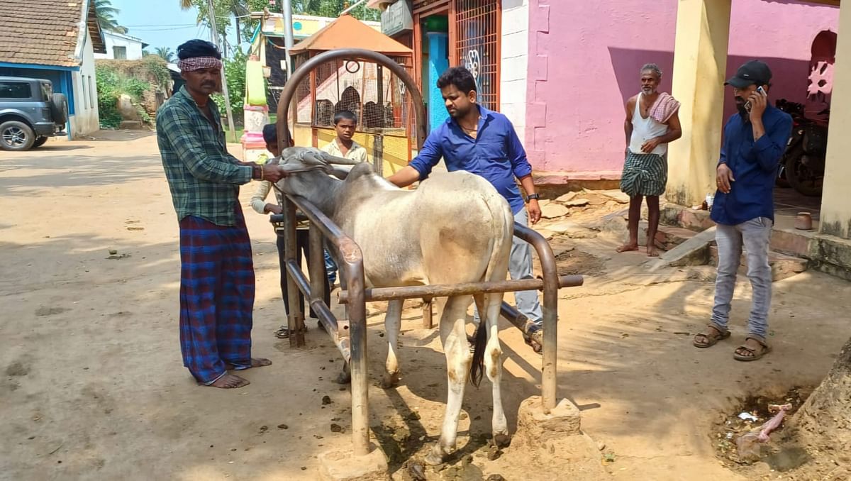 ಹಿರೇಕೆರೂರು ತಾಲ್ಲೂಕಿನ ಆಲದಗೇರಿ ಗ್ರಾಮದ ಪಶು ಆಸ್ಪತ್ರೆಯಲ್ಲಿ ಜಾನುವಾರಿಗೆ ಚುಚ್ಚುಮದ್ದು ನೀಡಲಾಯಿತು