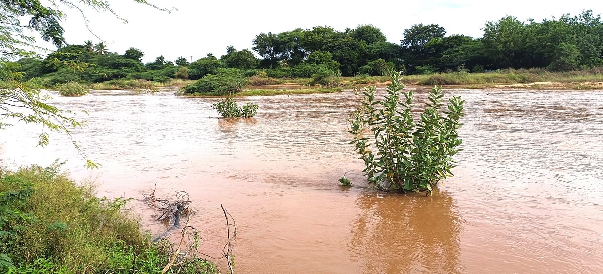 ತುಂಬಿ ಹರಿಯುತ್ತಿರುವ ಜಯಮಂಗಲಿ ನದಿ 