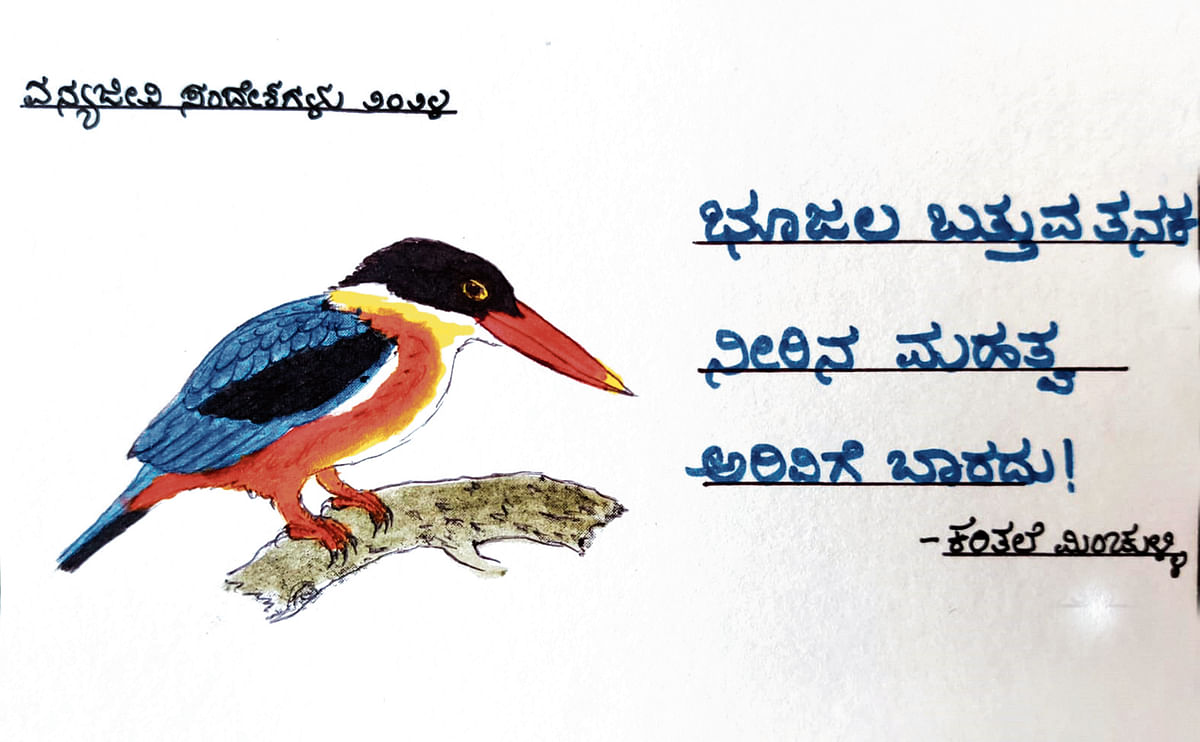 ವನ್ಯಜೀವಿ ಸಂದೇಶ ಪತ್ರ