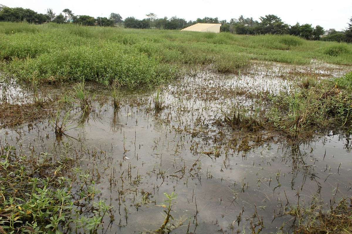 ಕ್ರೀಡಾಂಗಣದಲ್ಲಿ ಮಳೆ ನೀರು