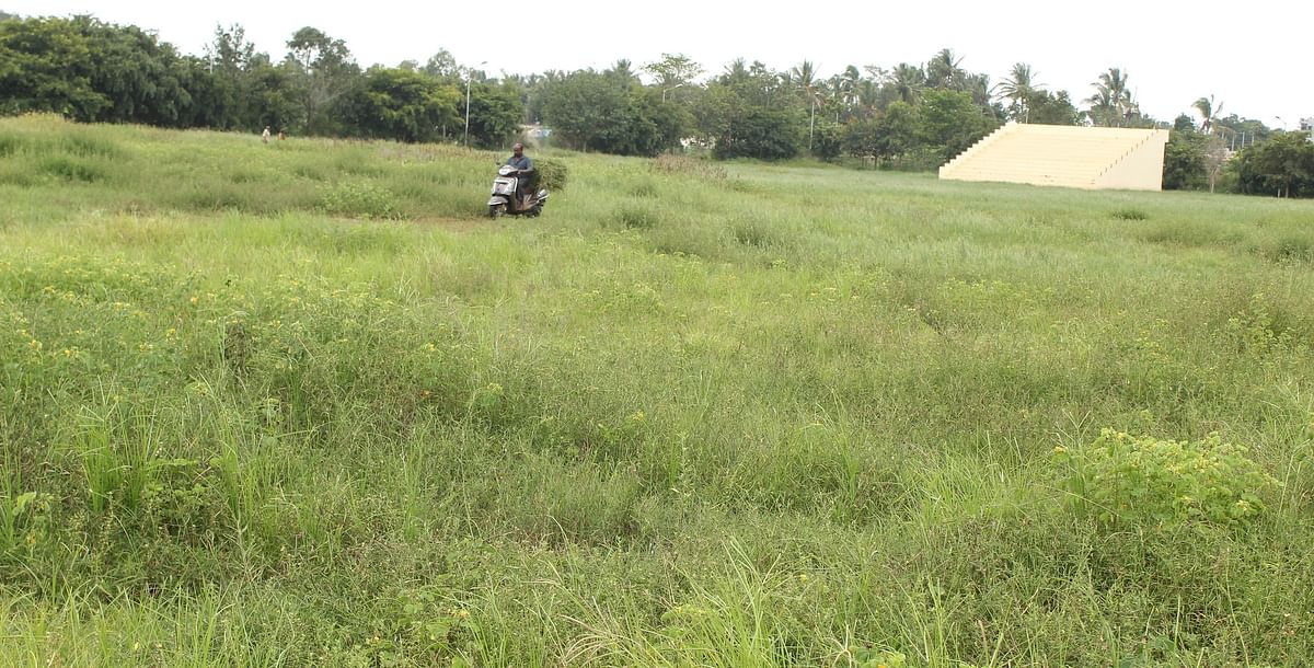 ಹುಲ್ಲುಗಾವಲಿನಂತಿರುವ ಆನೇಕಲ್ ಕ್ರೀಡಾಂಗಣ