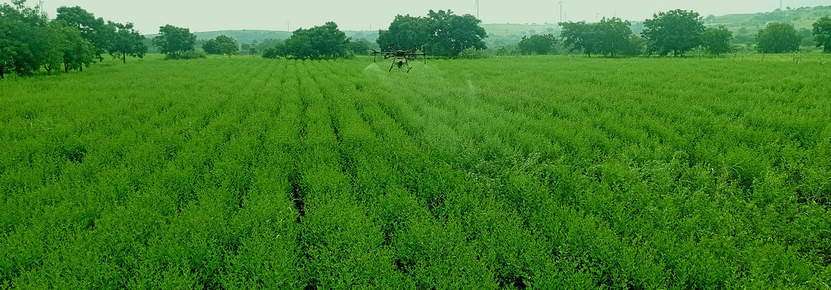 ಹೊರ್ತಿ ಸಮೀಪದ ಇಂಚಗೇರಿ ಗ್ರಾಮದ ತೊಗರಿ ಹೊಲ (ಮಹಾದೇವ ಬನ್ನಿ)ವೊಂದರ ಹೊಲದಲ್ಲಿ ಭಾನುವಾರ ತೊಗರಿ ಬೆಳೆಗೆ ಡ್ರೋನ್‌ ಮೂಲಕ ಕೀಟ ನಾಶಕಕ್ಕೆ ಸಿಂಪಡಿಸಲಾಯಿತು