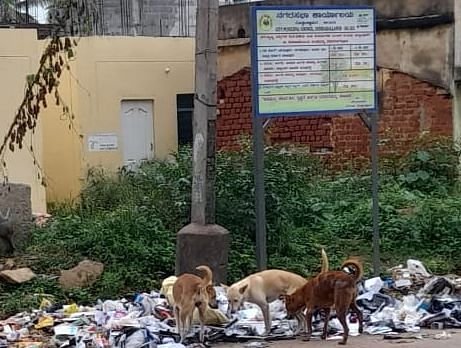 ದೊಡ್ಡಬಳ್ಳಾಪುರ ನಗರಸಭೆ ವ್ಯಾಪ್ತಿಯ ವಿವಿಧಡೆಗಳ ರಸ್ತೆ ಬದಿಗಳಲ್ಲಿ ಹಾಕಲಾಗಿರುವ ಕಸದ ರಾಶಿ