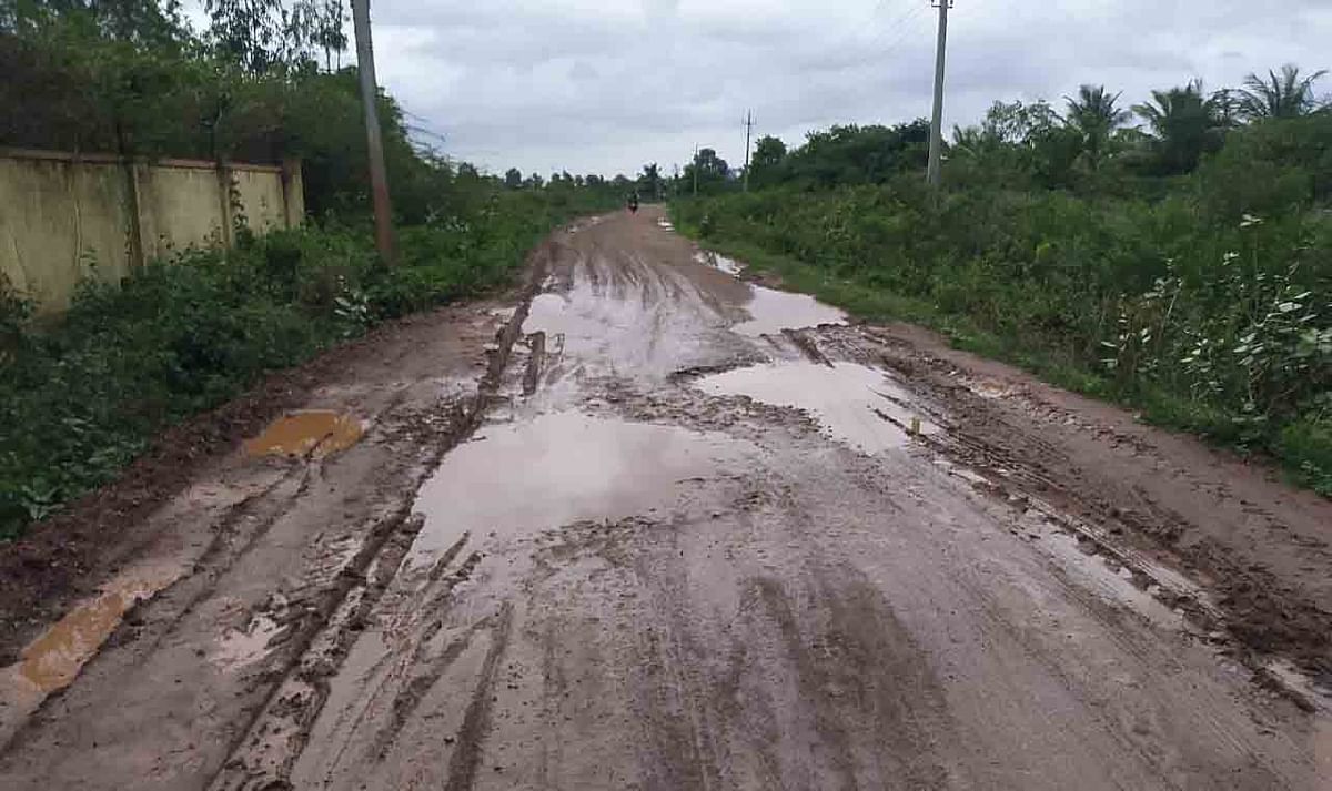 ಹಿರಿಯೂರು ತಾಲ್ಲೂಕಿನ ವಾಣಿವಿಲಾಸಪುರದಿಂದ ಕಕ್ಕಯ್ಯನಹಟ್ಟಿ ಮಾರ್ಗವಾಗಿ ಲಕ್ಕಿಹಳ್ಳಿಗೆ ಹೋಗುವ ರಸ್ತೆಯ ಅವ್ಯವಸ್ಥೆ.