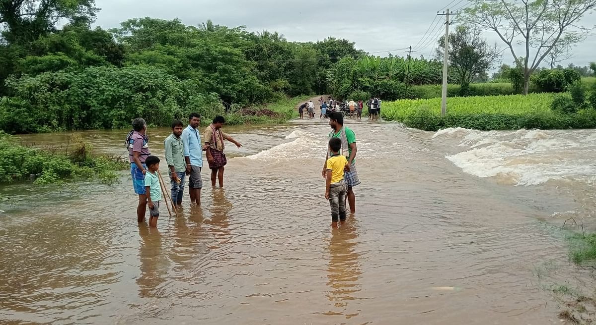 ಕೂತನೂರು ಕೆರೆ ಕೋಡಿ ಬಿದ್ದು ಮಲ್ಲಯ್ಯನಪುರ ಗ್ರಾಮದಿಂದ ಜಮೀನಿಗೆ ಸಂರ್ಪಕ ಕಲ್ಪಿಸುವ ರಸ್ತೆ ಮುಳುಗಡೆಯಾಗಿದೆ