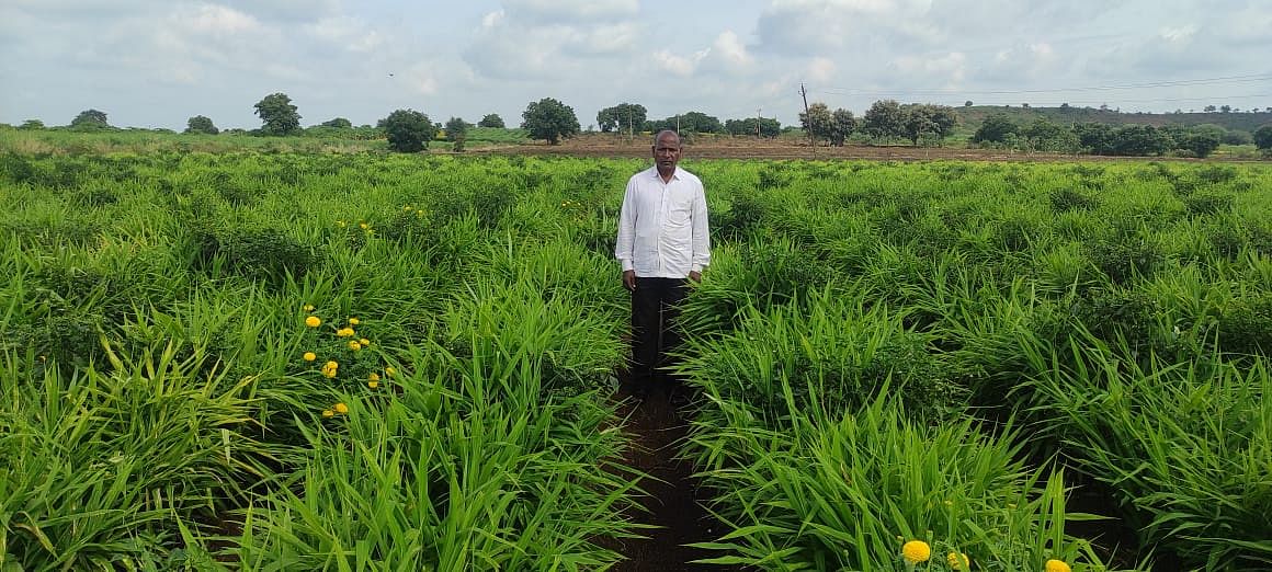 16ಕೆಟಿಸಿ2