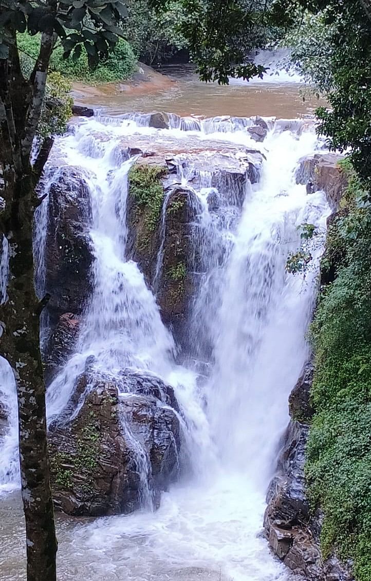 ದುರ್ಗದಹಳ್ಳಿಯ ಕೊಡಿಗೆ ಜಲಪಾತದ ದೃಶ್ಯ