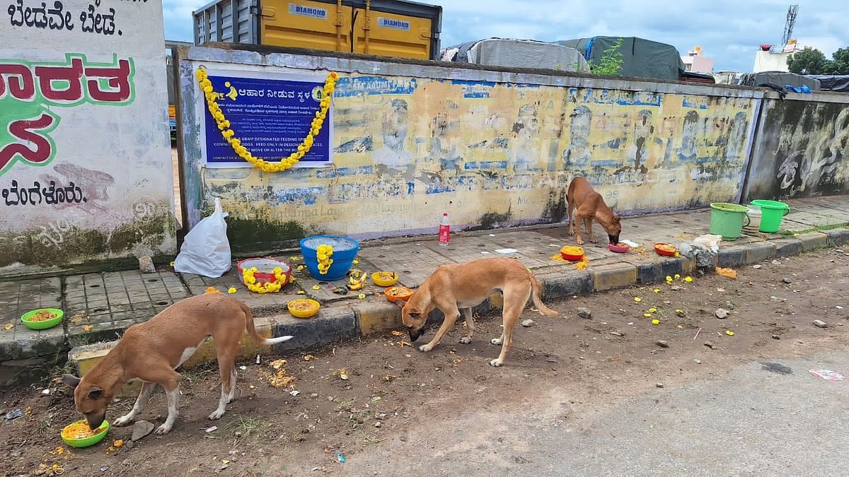 ಬಾಗಲಗುಂಟೆಯಲ್ಲಿ ಬೀದಿ ನಾಯಿಗಳಿಗೆ ಸ್ಥಾಪಿಸಲಾಗಿರುವ ಆಹಾರ ತಾಣ