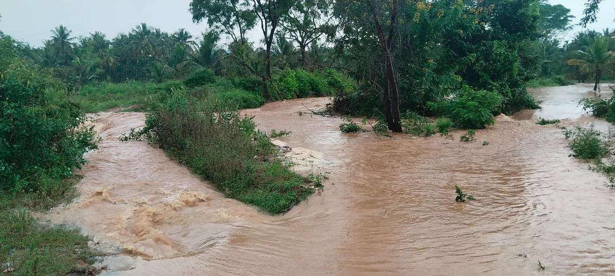 ಹೊಸಪಾಳ್ಯ ಬಳಿ ರೈತರ ತೋಟಕ್ಕೆ ಮಳೆ ನೀರು ನುಗ್ಗಿರುವುದು