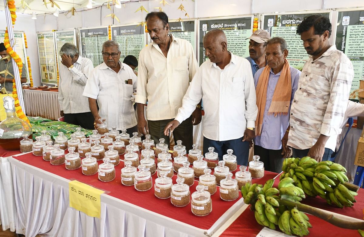 ಮೇಳದಲ್ಲಿ ರಾಗಿ ತಳಿಗಳ ಕುರಿತು ಮಾಹಿತಿ ಪಡೆಯುತ್ತಿರುವ ರೈತರು 