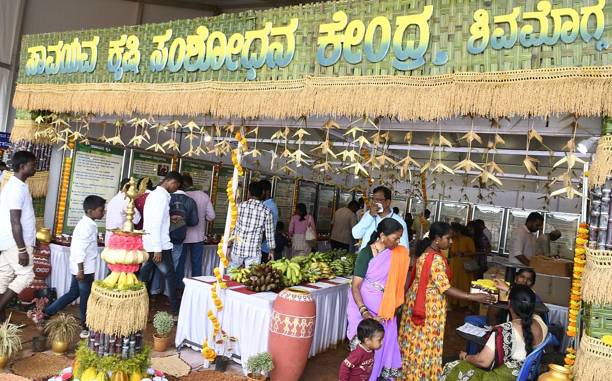 ಮೇಳದಲ್ಲಿನ ಸಾವಯುವ ಕೃಷಿ ಸಂಶೋಧನಾ ಕೇಂದ್ರ