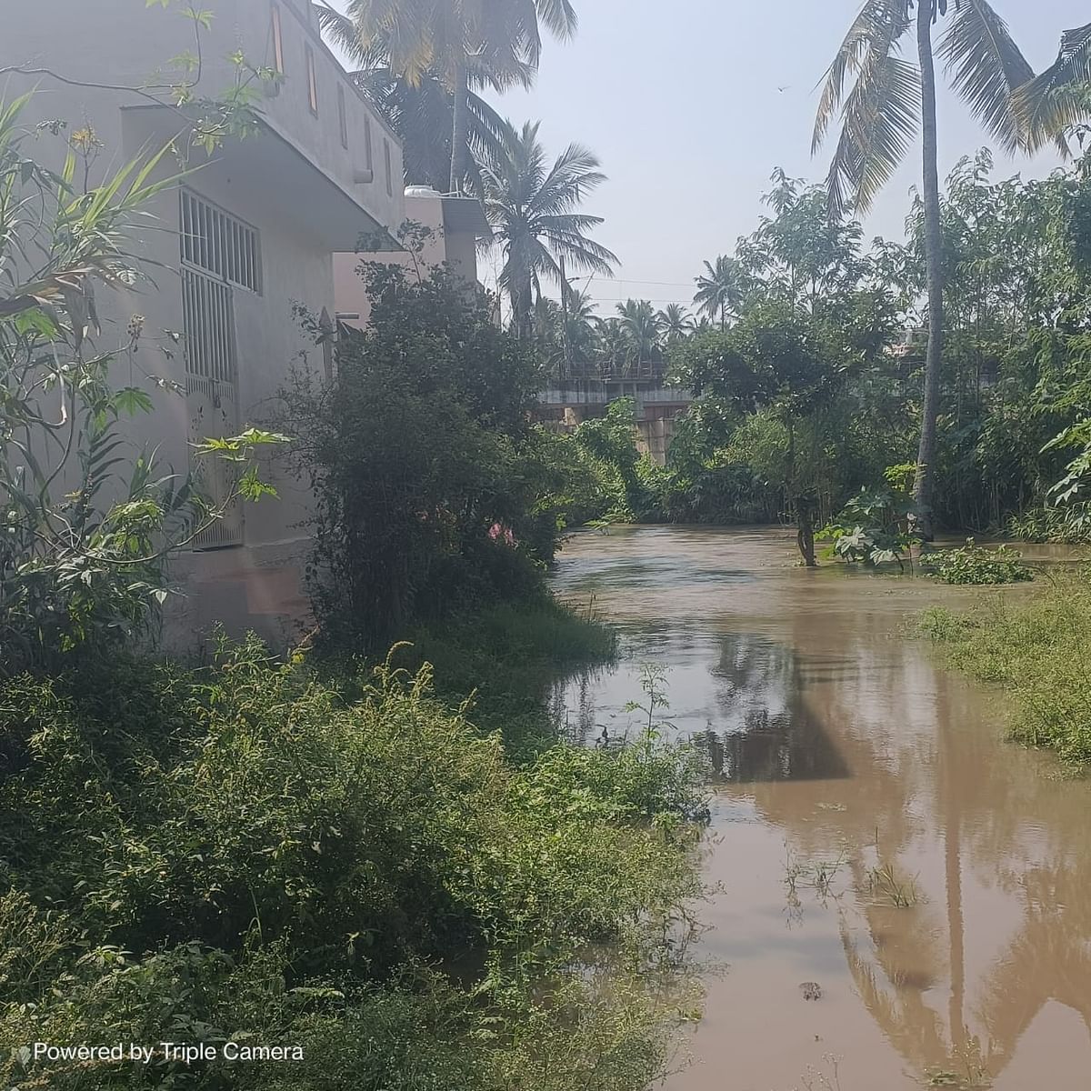 ರಾಮನಗರದ ಬಾಲಗೇರಿಯ ಮನೆಯವರೆಗೆ ಬಂದಿರುವ ಅರ್ಕಾವತಿ ನದಿ ನೀರು