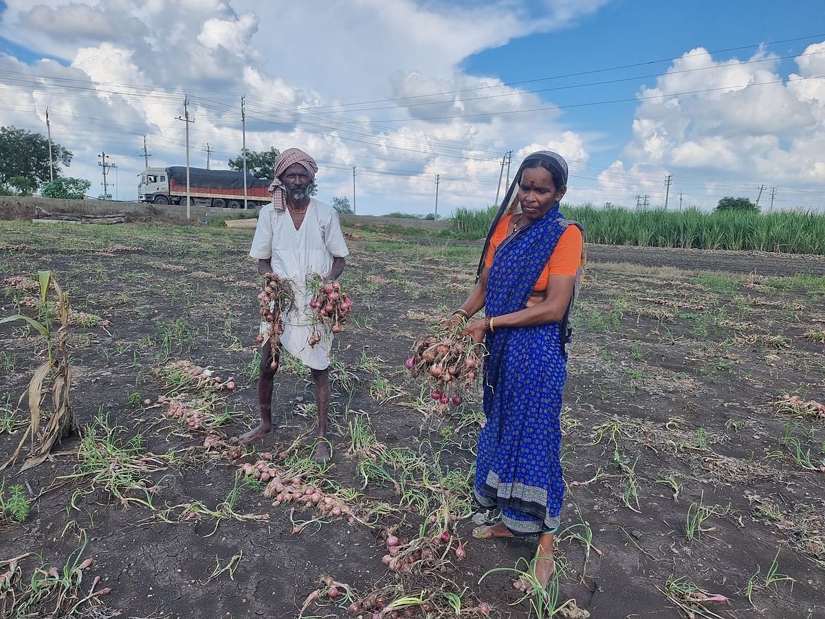 ಮುಧೋಳ ತಾಲ್ಲೂಕಿನ ಬೊಮ್ಮನಬುದ್ನಿ ಗ್ರಾಮದ ಬಸಪ್ಪ ರಾಮಪ್ಪ ಹ್ಯಾವಗಲ್ಲ ಅವರ ಪತ್ನಿ ತಂಗೆವ್ವ ಹ್ಯಾವಗಲ್ಲ ಕೊಳೆತ ಈರುಳ್ಳಿ ತೊರಿಸುತ್ತಿರುವುದು