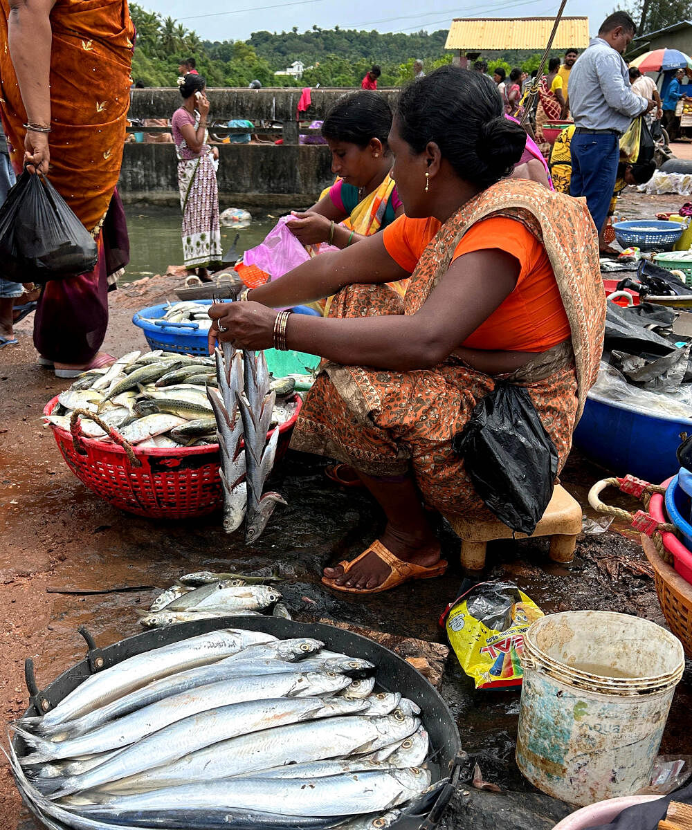 ಮಾರಾಟಕ್ಕೆ ಬಂದ ಇತರೆ ಮೀನು 