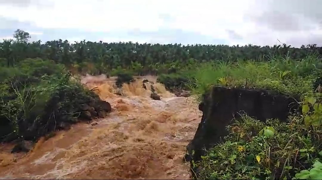 ಶಿವಮೊಗ್ಗ ತಾಲ್ಲೂಕಿನ ಮನ್ನೀಕೆರೆಯ ಬೂದಿಗೆರೆ ಕೋಡಿ ಬಿದ್ದಿದೆ