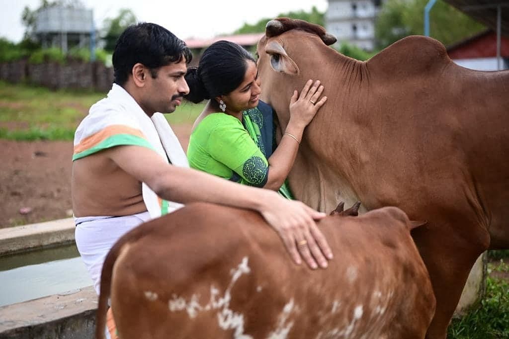 ಗೋವುಗಳ ಆರೈಕೆಯಲ್ಲಿ ವಿಷ್ಣುಪ್ರಸಾದ್ ಮತ್ತು ನಾಗರತ್ನಾ