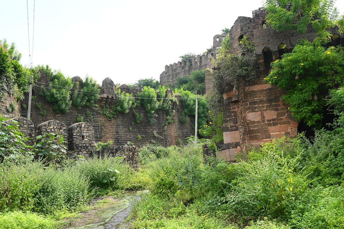 ಪೊದೆಗಳಲ್ಲಿ ಮರೆಯಾದ ಬೀದರ್‌ ಕೋಟೆ