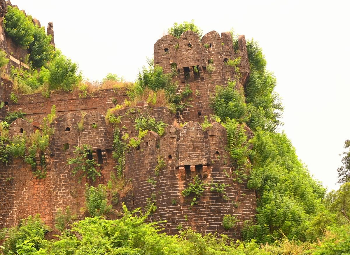 ಎಲ್ಲಿದೆ ಕೋಟೆ? ಪೊದೆಗಳ ಹಿಂದೆ ಎಂದು ಉತ್ತರಿಸಬಹುದೇ?