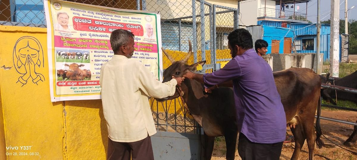 ಉಚಿತ ಕಾಲುಬಾಯಿ ರೋಗ ಲಸಿಕಾ ಅಭಿಯಾನ ಕಾರ್ಯಕ್ರಮ