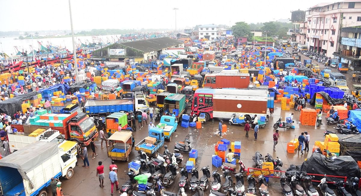 ಮೀನು ಹೊತ್ತುಕೊಂಡು ಬೋಟ್‌ಗಳು ದಡ ತಲುಪಿದಾಗ ಕಂಡುಬಂದ ಚಟುವಟಿಕೆ