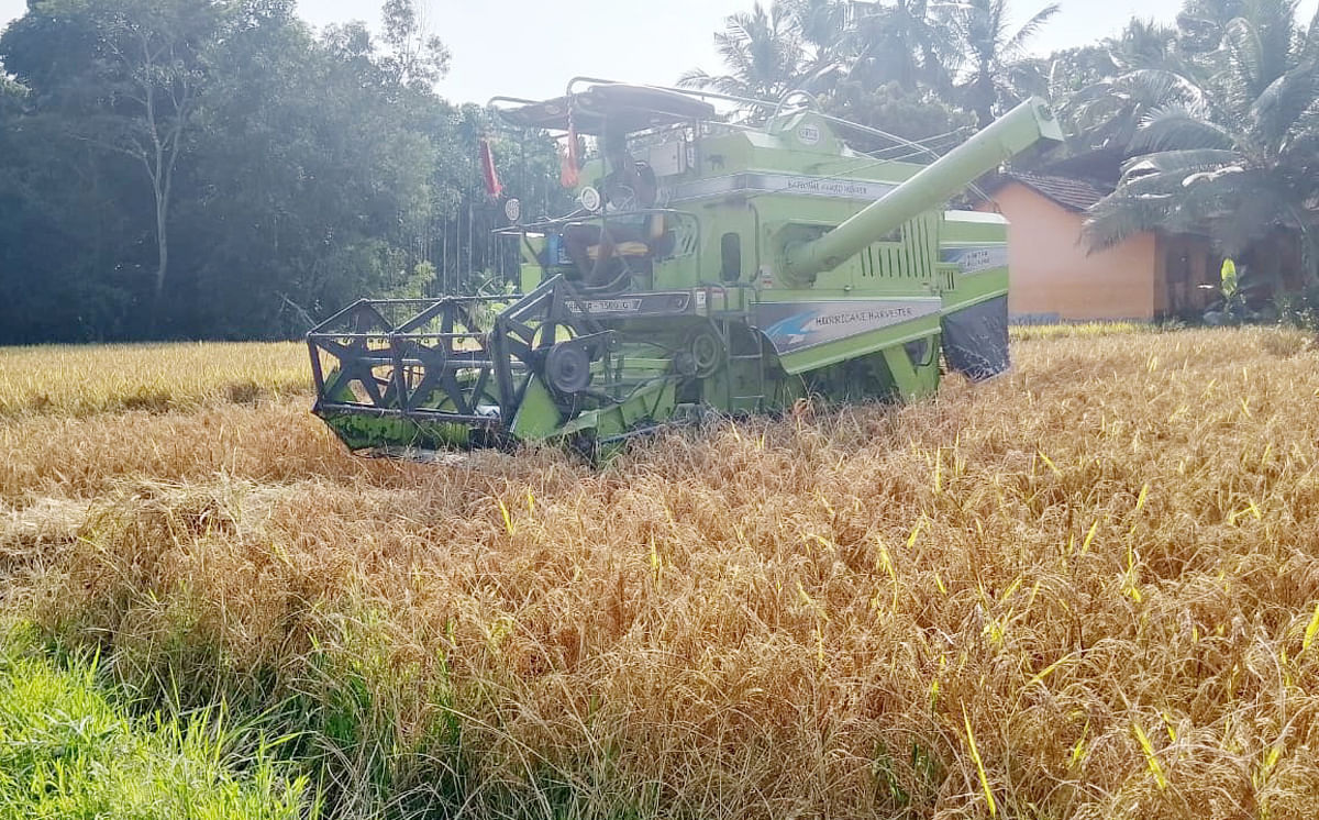 ಆಧುನಿಕ ಭತ್ತ ಕಟಾವು ಯಂತ್ರ