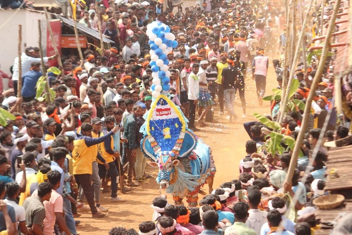 ಸಾಂದರ್ಭಿಕ ಚಿತ್ರ