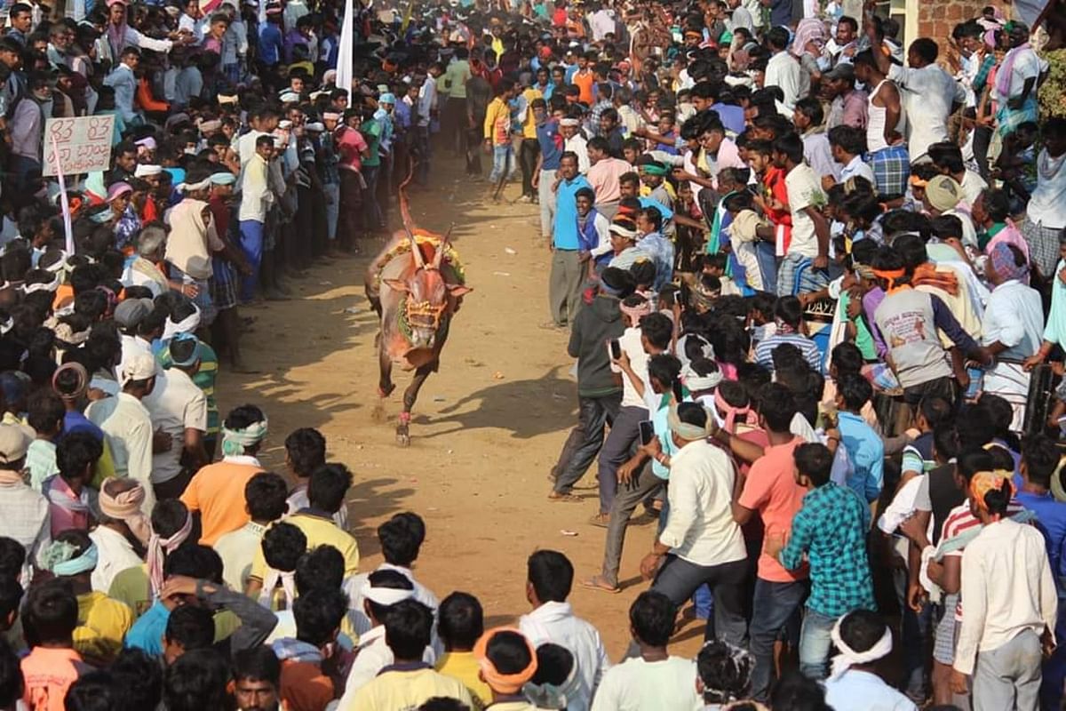 ಸಾಂದರ್ಭಿಕ ಚಿತ್ರ