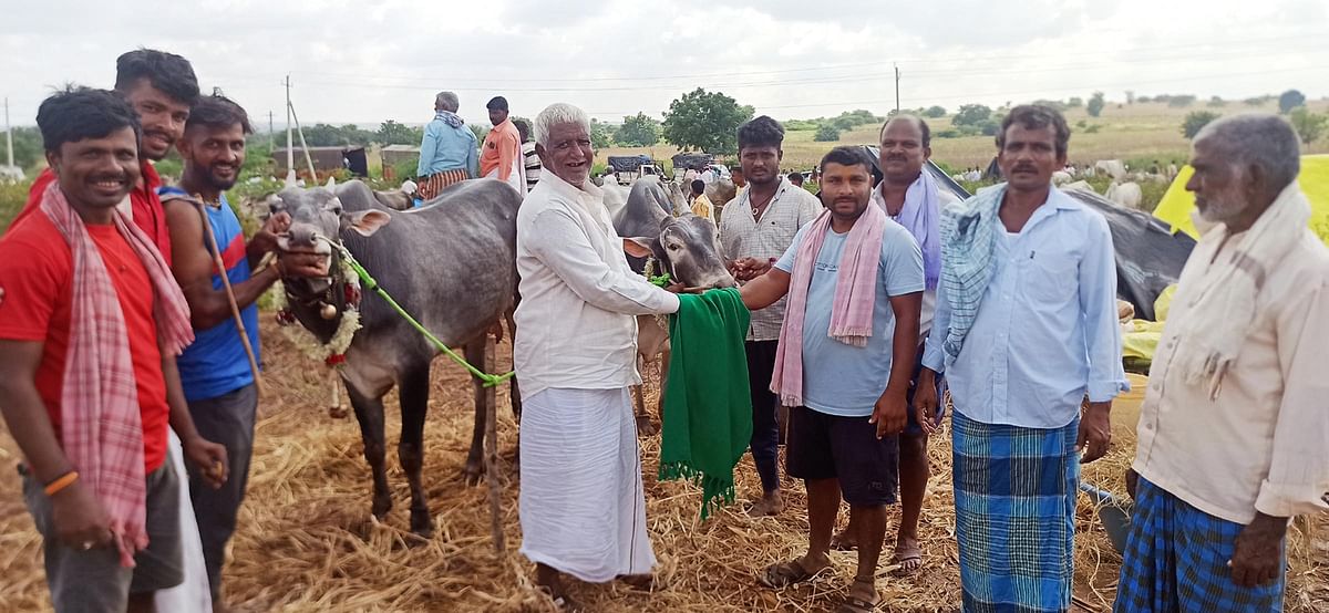 ದೇರವಗುಡ್ಡ ಜಾನುವಾರು ಜಾತ್ರೆಯಲ್ಲಿ ರೈತರು ಎತ್ತುಗಳನ್ನು ಖರೀದಿಸಲು ಬೆರಳುಗಳ ಮೂಲಕ ವ್ಯಾಪರ ಕುದಿರಿಸಿದರು.