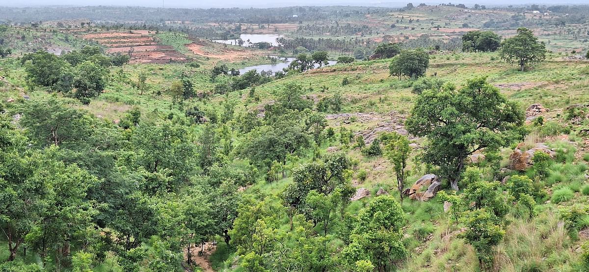 ತಿಪಟೂರು ತಾಲ್ಲೂಕಿನ ಮಂಚೆಕಲ್ಲು ಬೆಟ್ಟ