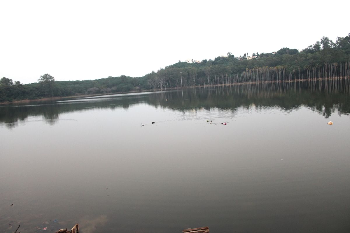 ಮೈದುಂಬಿಕೊಂಡಿರುವ ಪಾಪನಾಶ ಕೆರೆ