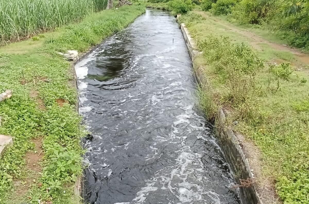 ಸೂಳೆ ಕೆರೆಯಿಂದ ತ್ಯಾಜ್ಯ ನೀರು ಕೃಷಿ ಭೂಮಿಗೆ ನಾಲಾ ಮುಖಾಂತರ ಹರಿಯುತ್ತಿರುವುದು