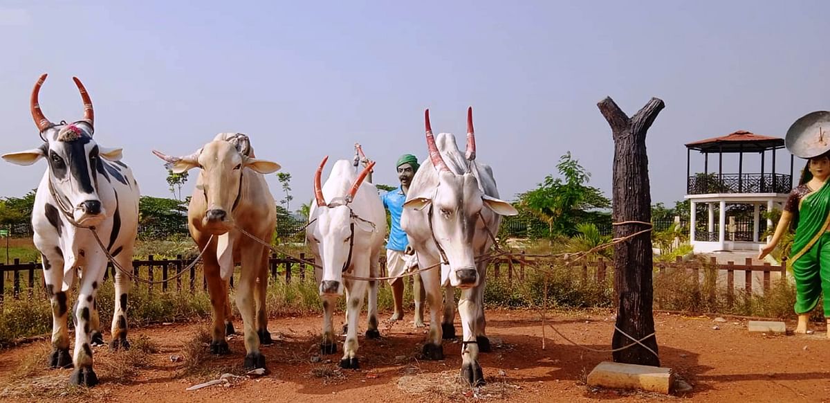 ಕೊಂಬು ಮುರಿದ ಎತ್ತುಗಳ ಪ್ರತಿಮೆಗಳು