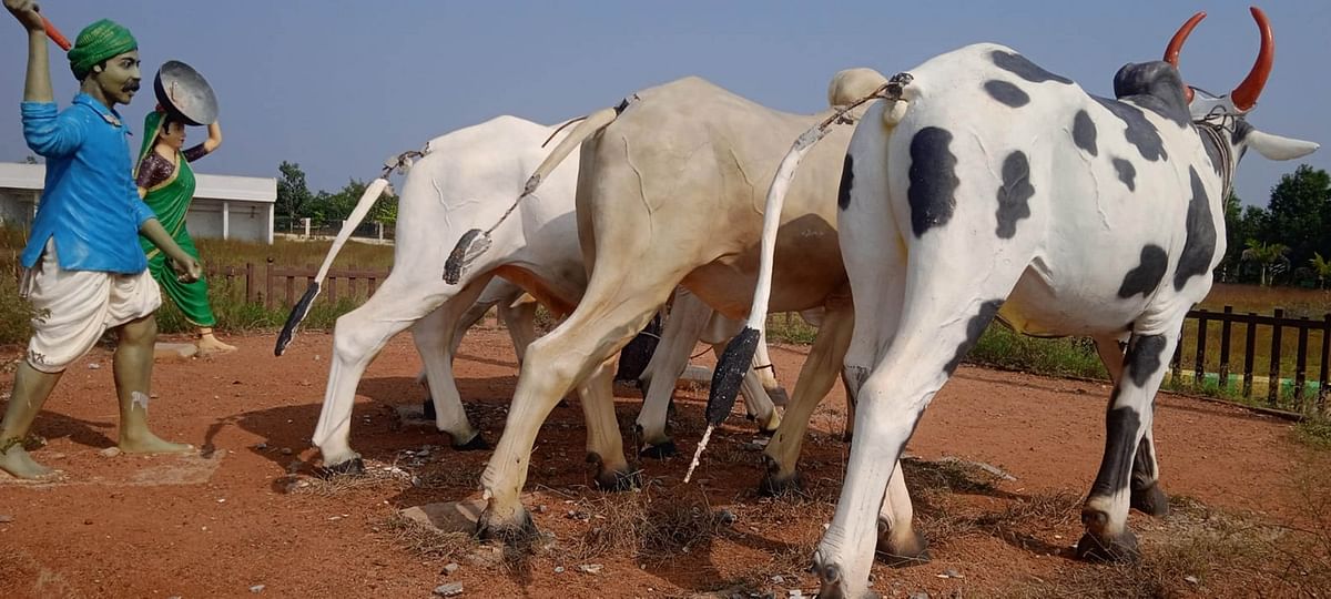 ಬಾಲ ಮುರಿದ ಎತ್ತುಗಳ ಪ್ರತಿಮೆಗಳು