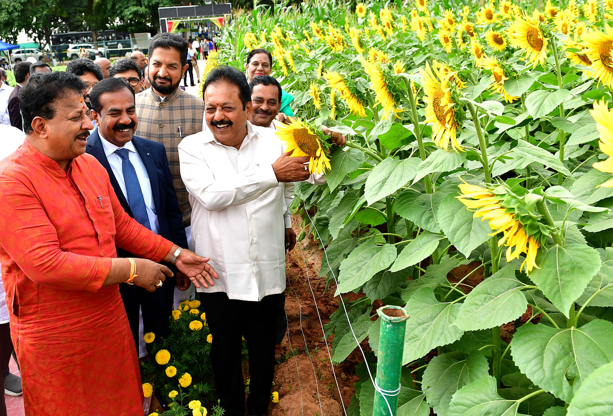 ಕೃಷಿ ಮೇಳದಲ್ಲಿ ಬಿಡುಗಡೆ ಮಾಡಲಾದ ಸೂರ್ಯಕಾಂತಿಯ ಹೊಸ ತಳಿಯನ್ನು ಸಚಿವ ಎನ್. ಚಲುವರಾಯಸ್ವಾಮಿ ಶಾಸಕ ಎಸ್‌. ಅರ್‌. ವಿಶ್ವನಾಥ್ ಕೃಷಿ ವಿಶ್ವವಿದ್ಯಾಲಯದ ಕುಲಪತಿ ಎಸ್.ವಿ. ಸುರೇಶ ಶಾಸಕ ಶರತ್ ಬಚ್ಚೇಗೌಡ  ವೀಕ್ಷಿಸಿದರು.