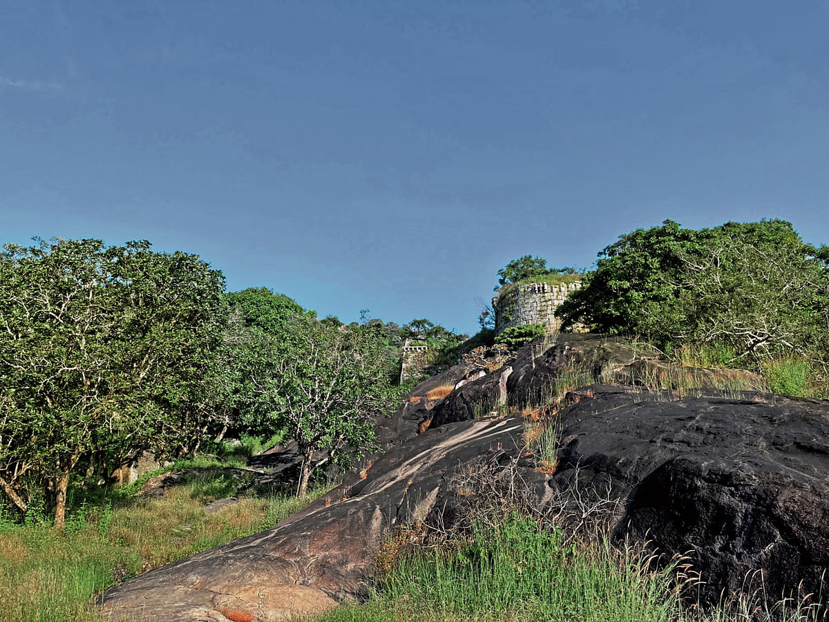 ಚಂದ್ರಗುತ್ತಿ ಕೋಟೆ 