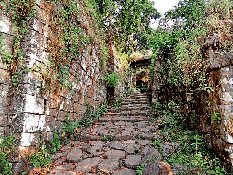 ಚಂದ್ರಗುತ್ತಿ ಕೋಟೆಗೆ ಹೋಗುವ ದಾರಿ 