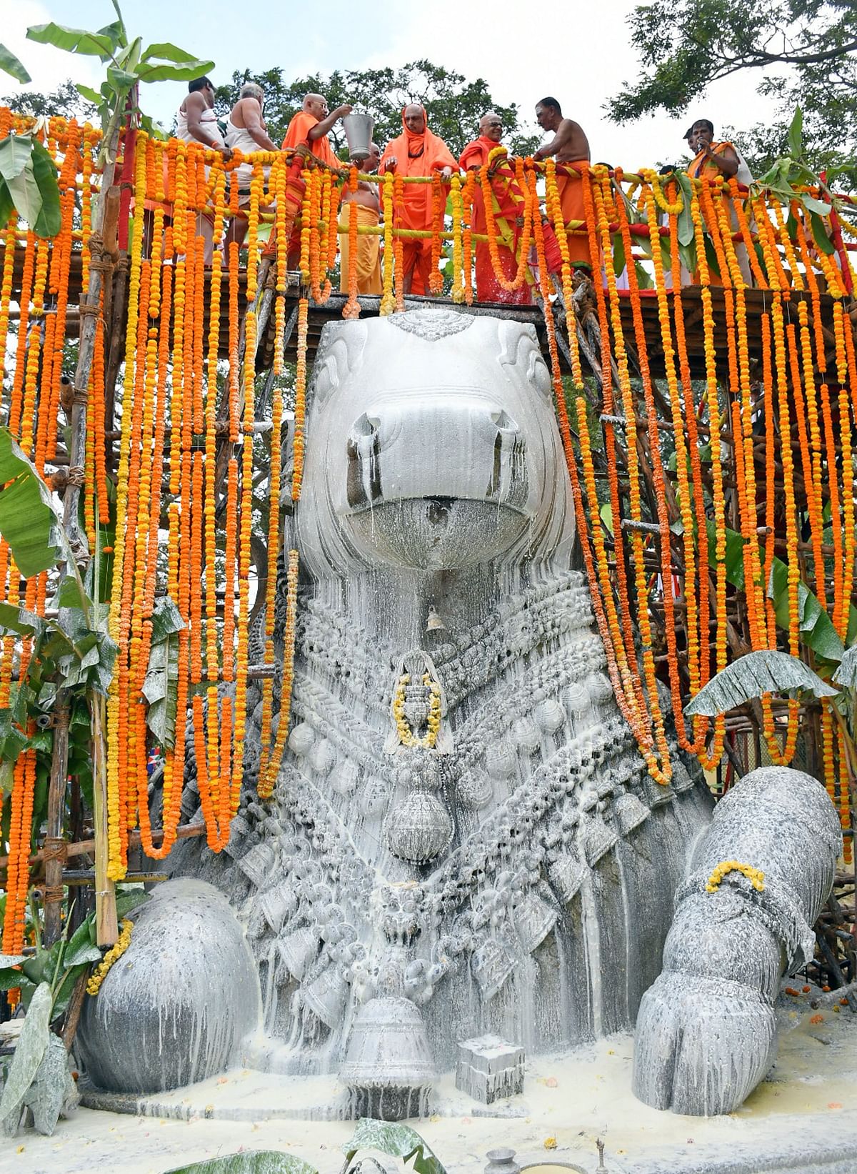 ನಂದಿ ವಿಗ್ರಹವು ಹಾಲಿನ ಅಭಿಷೇಕದಲ್ಲಿ ಕಂಗೊಳಿಸಿತು