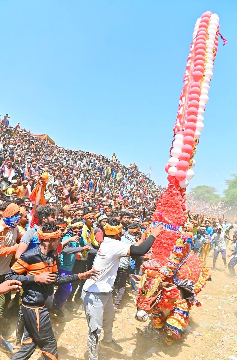 ಹೋರಿ ಹಬ್ಬದ ಒಂದು ರೋಚಕ ಕ್ಷಣ