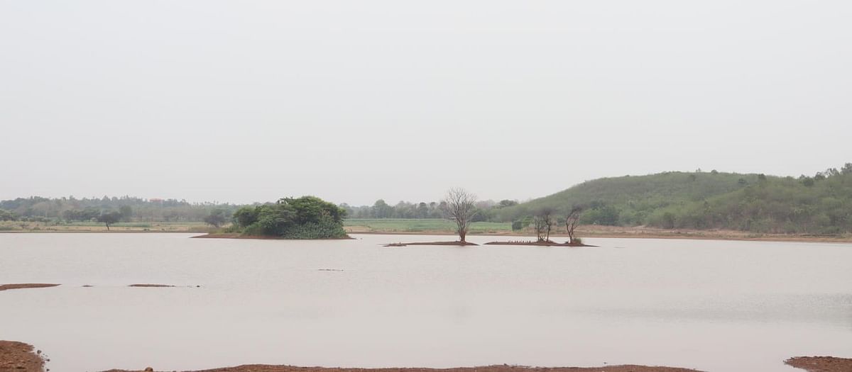 ಬೀದರ್‌ ತಾಲ್ಲೂಕಿನ ಔರಾದ್‌ (ಎಸ್‌) ಗ್ರಾಮದ ಕೆರೆ ಮೈದುಂಬಿಕೊಂಡಿದೆ