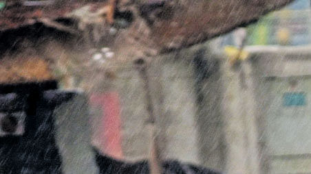 ಬಿರುಸಿನ ಮಳೆ ಸಾಧ್ಯತೆ: 14 ಜಿಲ್ಲೆಗಳಿಗೆ ಯೆಲ್ಲೊ ಅಲರ್ಟ್‌