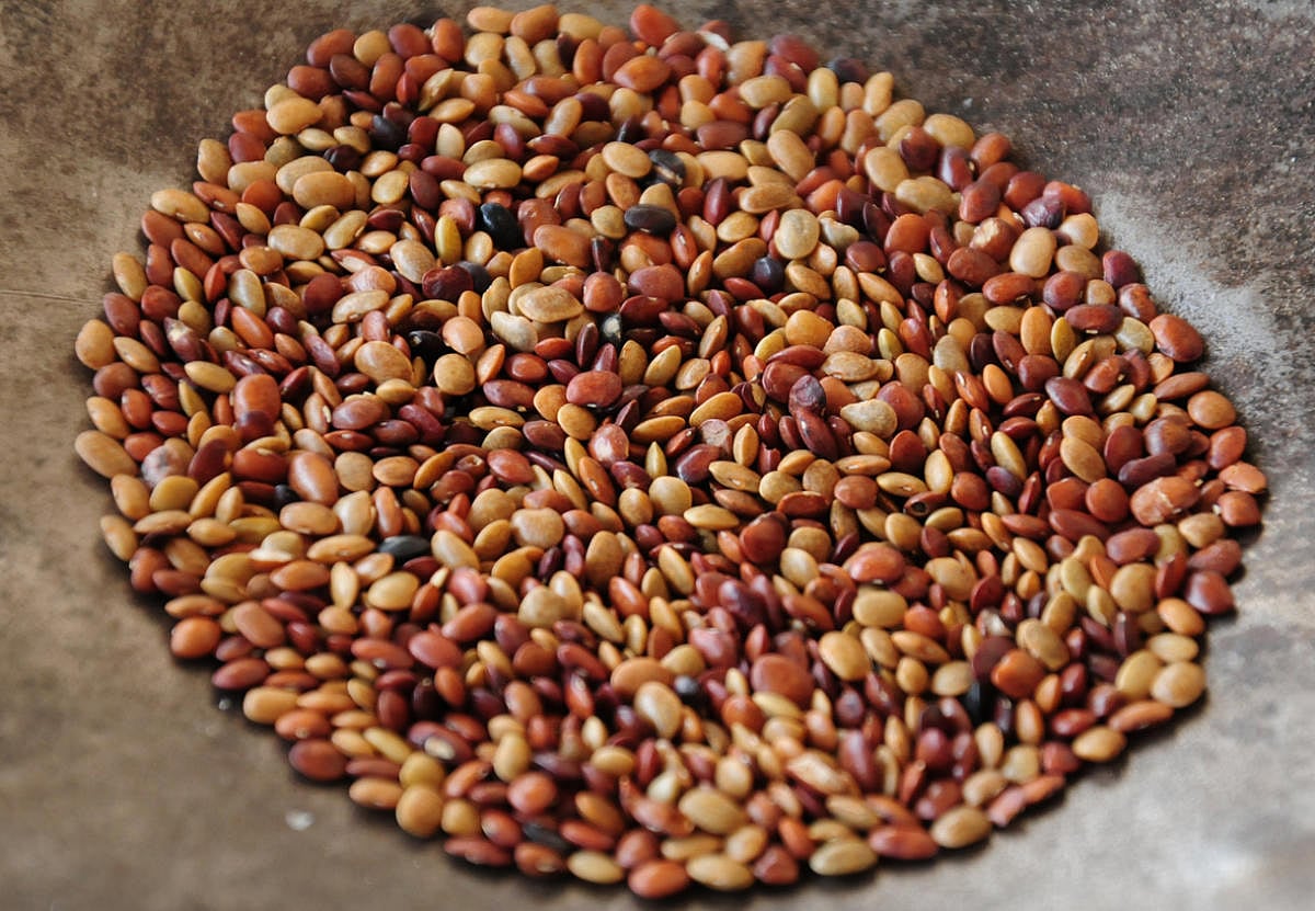 ಗಗನಕ್ಕೇರಿದ ಹುರುಳಿ ಬೆಲೆ