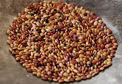 ಗಗನಕ್ಕೇರಿದ ಹುರುಳಿ ಬೆಲೆ