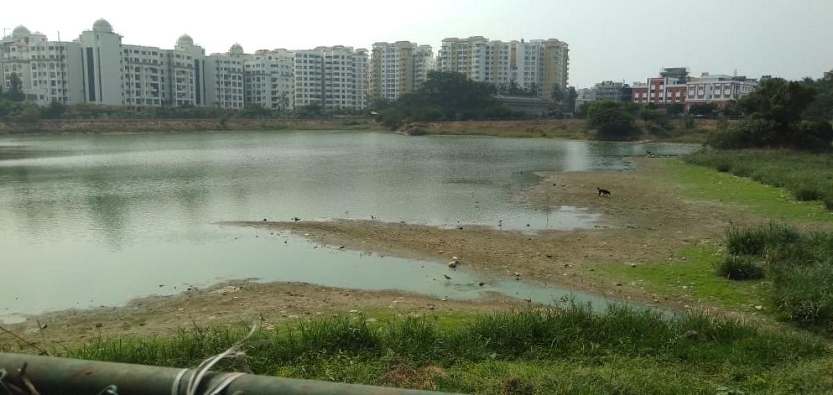 ಮುನ್ನೇಕೊಳಾಲ ಕೆರೆ ಬತ್ತುವ ಆತಂಕ