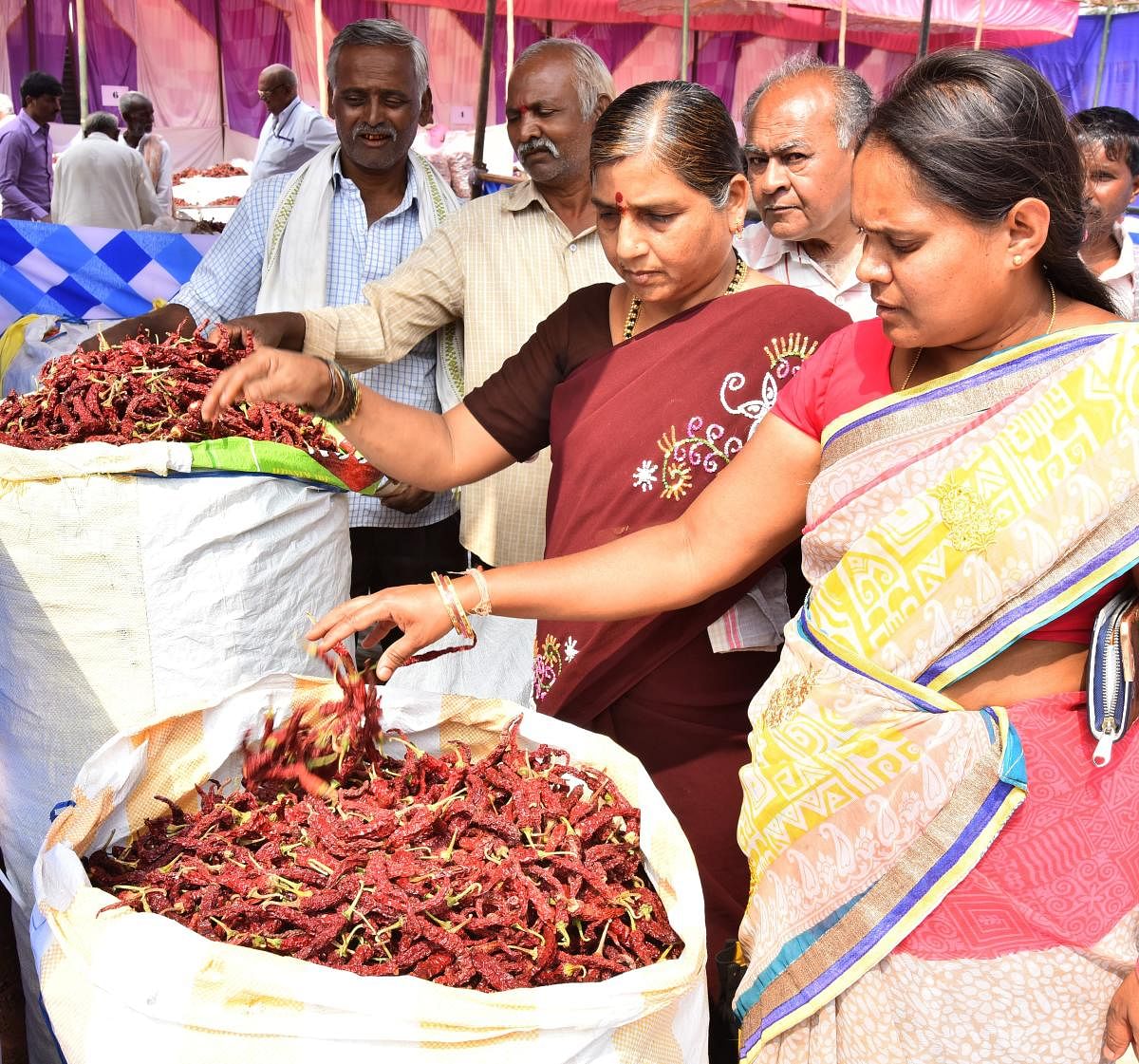 ಮೆಣಸಿನಕಾಯಿ ಬೆಳೆಗಾರರಿಗೆ ನೇರ ಮಾರುಕಟ್ಟೆ ವ್ಯವಸ್ಥೆ: ಸಿ.ಎಸ್‌. ಶಿವಳ್ಳಿ ಭರವಸೆ