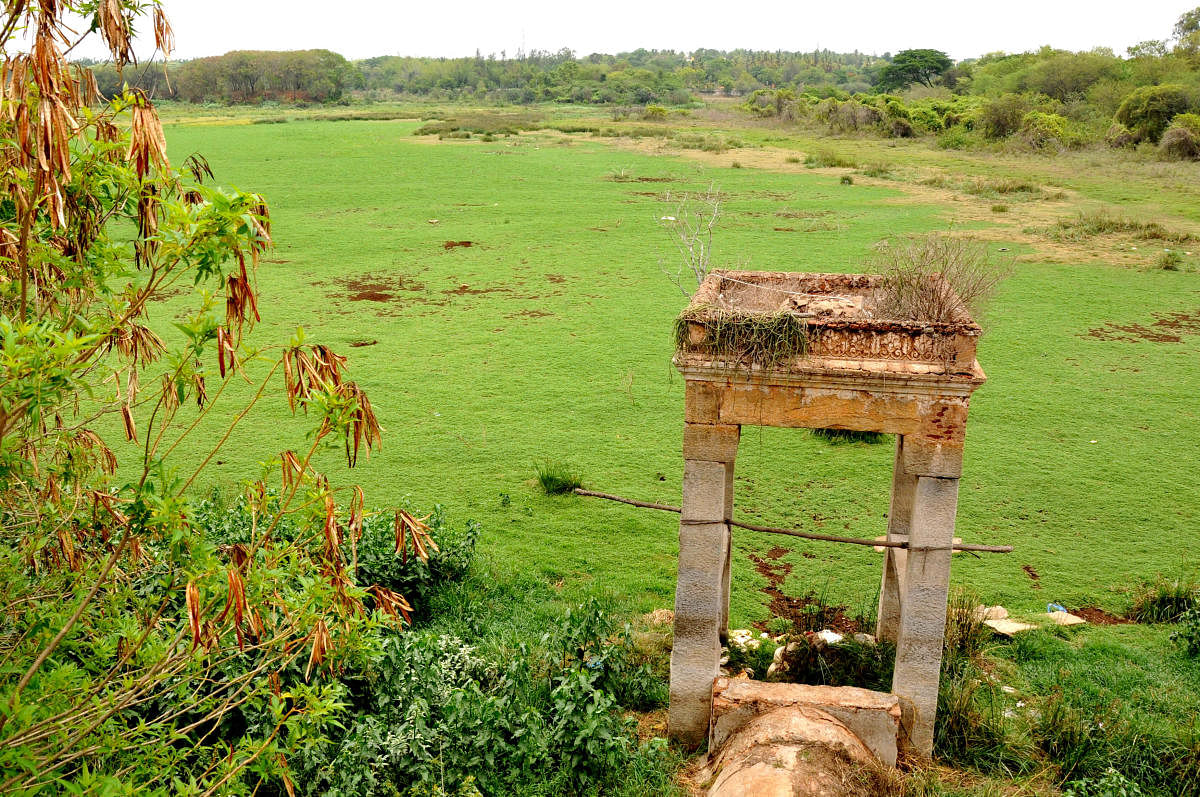 ಲಿಂಗಾಂಬುಧಿ ಕೆರೆಗೆ ಕೆಆರ್‌ಎಸ್‌ ಹಿನ್ನೀರು