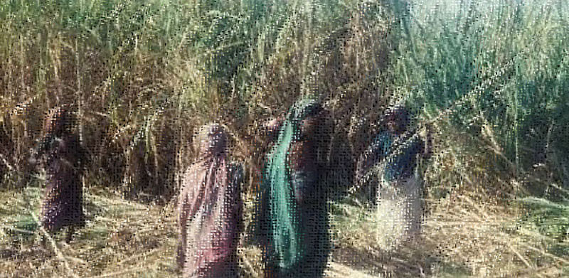 ಮಹಾರಾಷ್ಟ್ರದಲ್ಲಿ ಕಬ್ಬಿನ ಕೂಲಿಗಾಗಿ ಗರ್ಭಕೋಶ ತೆಗೆಸುತ್ತಿರುವ ಮಹಿಳೆಯರು: ರಾವುತ್