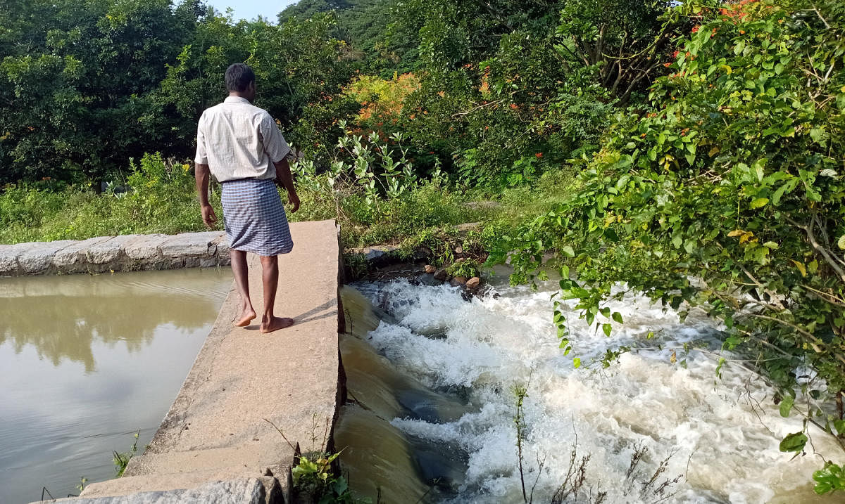 ಯಳಂದೂರು | ಸುಂದರ ಗಣಿಗನೂರು ಸೃಷ್ಟಿಕರ್ತೆ ಸುವರ್ಣೆ