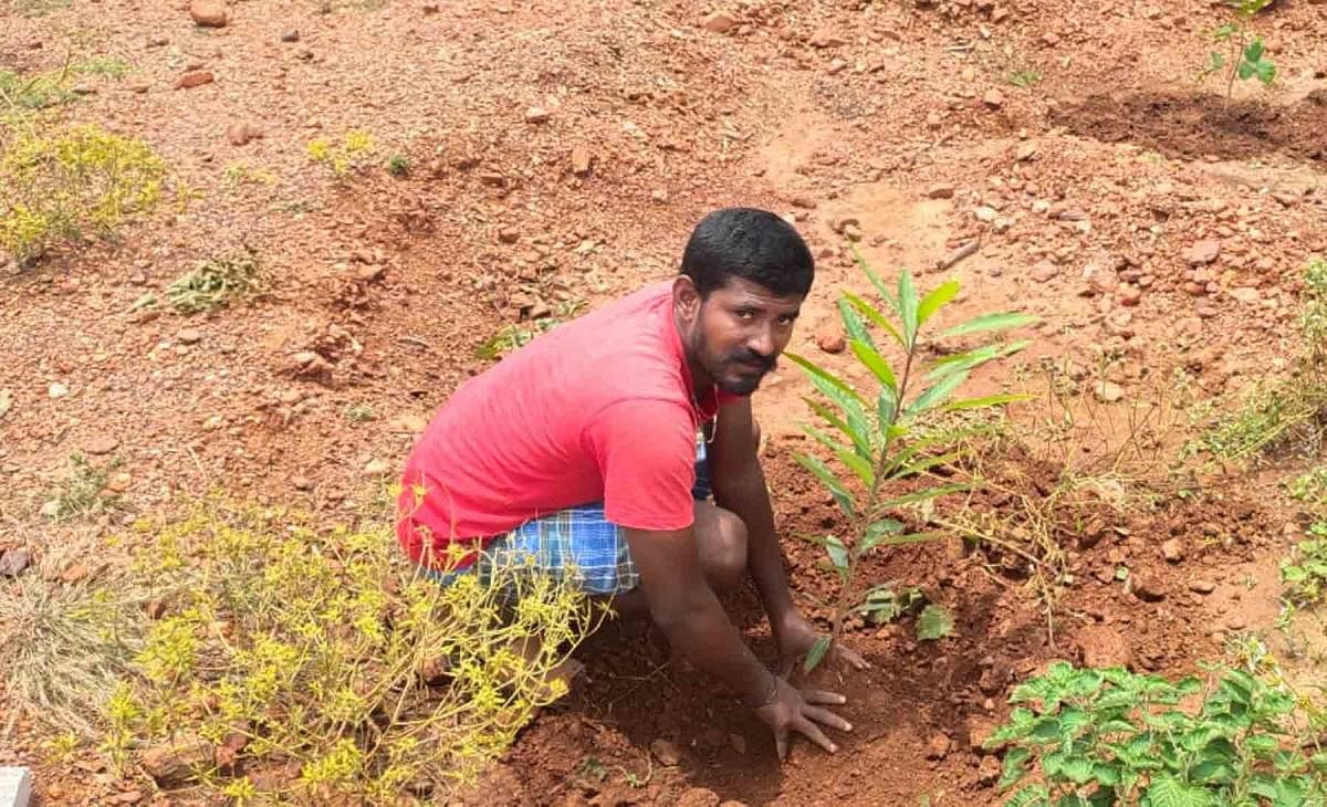 ಜನ್ಮದಿನಕ್ಕಾಗಿ 3000 ಗಿಡ ನೆಡಲು ಮುಂದಾದ ಯುವಕ