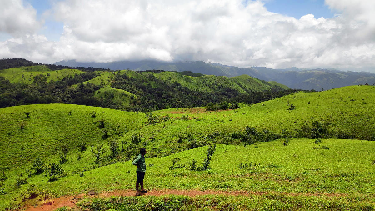 ಸಕಲೇಶಪುರ: ಪ್ರವಾಸಿಗರ ಕೈಬೀಸಿ ಕರೆಯುವ ಕಾಗಿನಹರೆ