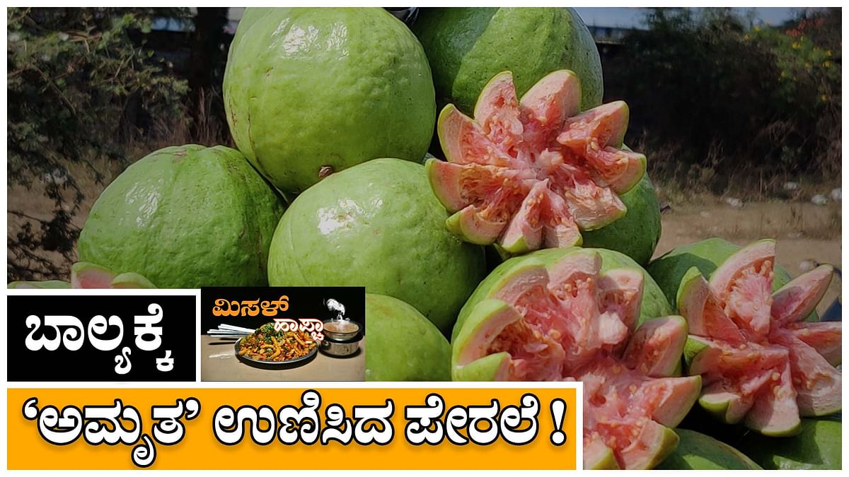 ಮಿಸಳ್‌ ಹಾಪ್ಚಾ: ಬಾಲ್ಯಕ್ಕೆ ‘ಅಮೃತ’ ಉಣಿಸಿದ ಪೇರಲೆ!